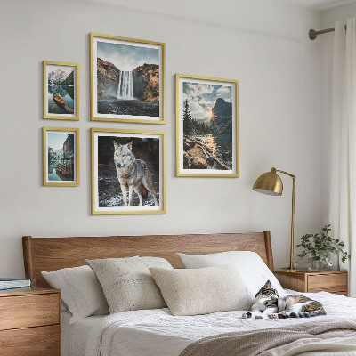 Conjunto de 5 quadros com moldura Paisagens da natureza e da vida selvagem