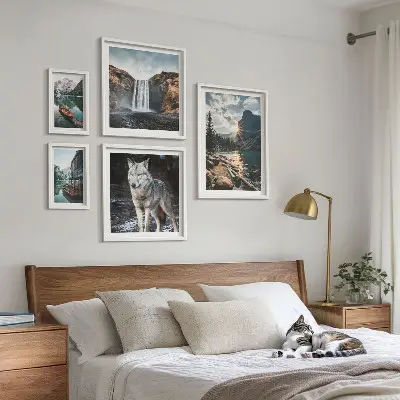 Conjunto de 5 quadros com moldura com estampas de paisagens da natureza e vida selvagem
