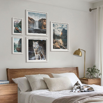 Conjunto de 5 quadros com moldura Paisagens da natureza e da vida selvagem