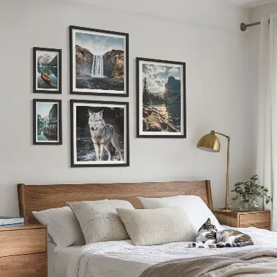 Conjunto de 5 quadros com moldura com estampas de paisagens da natureza e vida selvagem