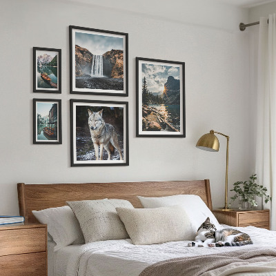 Conjunto de 5 quadros com moldura Paisagens da natureza e da vida selvagem