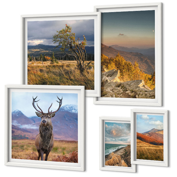 Galeria de parede paisagens de vida selvagem nas montanhas