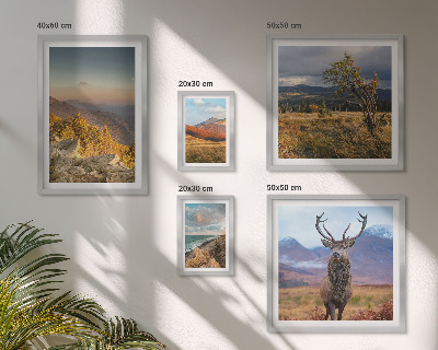 Galeria de parede paisagens de vida selvagem nas montanhas