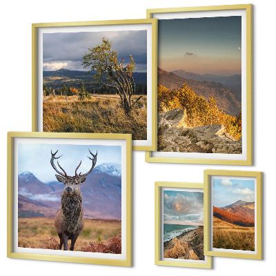 Galeria de parede paisagens de vida selvagem nas montanhas