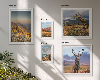 Galeria de parede paisagens de vida selvagem nas montanhas