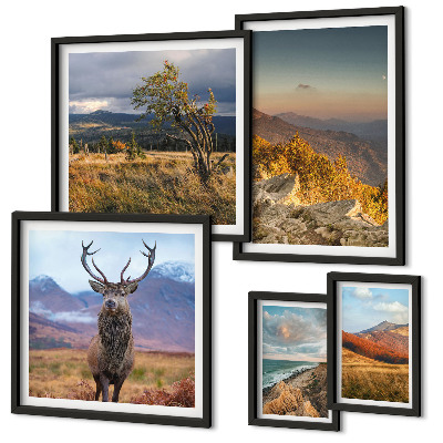Galeria de parede paisagens de vida selvagem nas montanhas