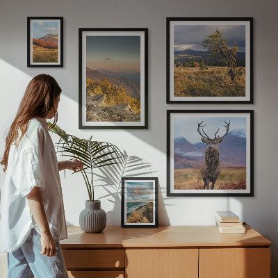 Galeria de parede paisagens de vida selvagem nas montanhas