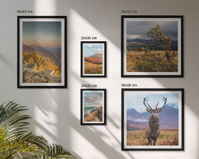 Galeria de parede paisagens de vida selvagem nas montanhas