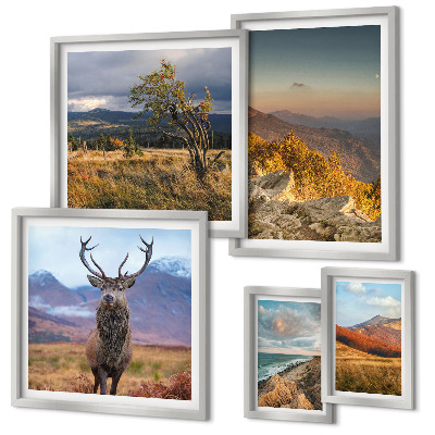 Galeria de parede paisagens de vida selvagem nas montanhas