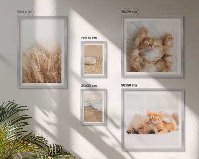 Conjunto de 5 quadros decorativos Paisagens com animais fofos