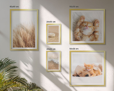 Conjunto de 5 quadros decorativos Paisagens com animais fofos