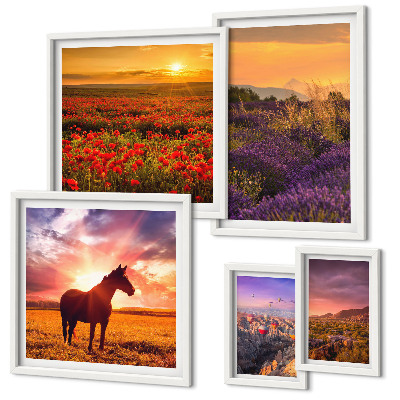 Conjunto de 5 quadros decorativos Paisagens da natureza, cavalos, flores