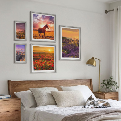 Conjunto de 5 quadros decorativos Paisagens da natureza, cavalos, flores