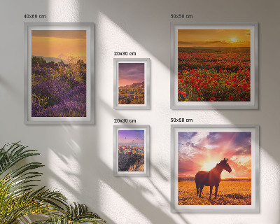 Conjunto de 5 quadros decorativos Paisagens da natureza, cavalos, flores