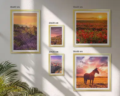 Conjunto de 5 quadros decorativos com paisagens da natureza cavalos e flores