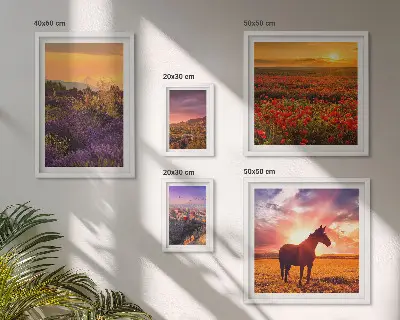 Conjunto de 5 quadros decorativos com paisagens da natureza cavalos e flores