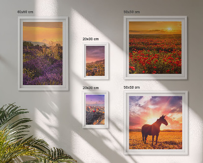 Conjunto de 5 quadros decorativos Paisagens da natureza, cavalos, flores