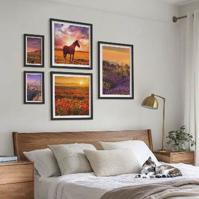Conjunto de 5 quadros decorativos Paisagens da natureza, cavalos, flores