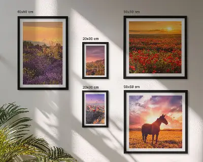 Conjunto de 5 quadros decorativos com paisagens da natureza cavalos e flores