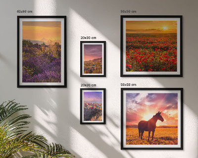 Conjunto de 5 quadros decorativos Paisagens da natureza, cavalos, flores