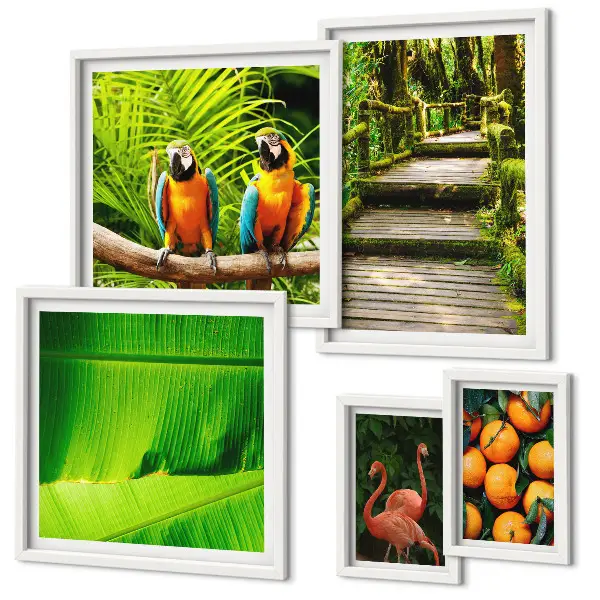 Parede galeria de quadros motivos de frutas tropicais da natureza