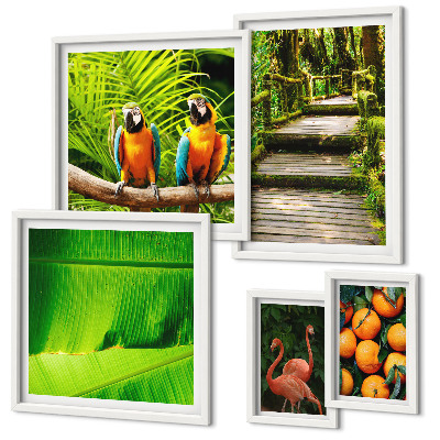Parede galeria de quadros motivos de frutas da natureza tropical