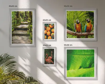 Parede galeria de quadros motivos de frutas tropicais da natureza