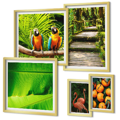 Parede galeria de quadros motivos de frutas da natureza tropical