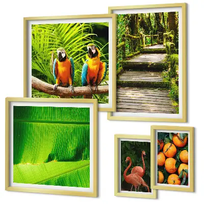 Parede galeria de quadros motivos de frutas tropicais da natureza