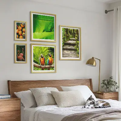 Parede galeria de quadros motivos de frutas tropicais da natureza