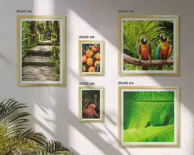 Parede galeria de quadros motivos de frutas tropicais da natureza