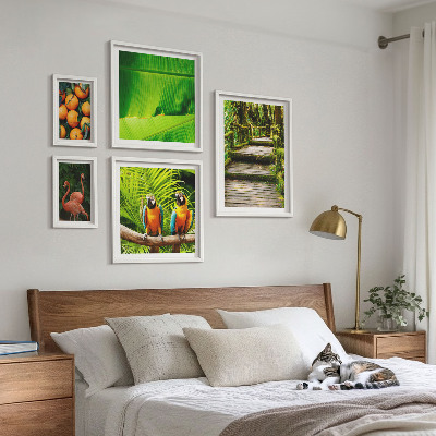 Parede galeria de quadros motivos de frutas da natureza tropical
