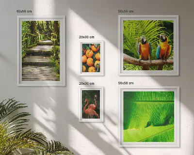Parede galeria de quadros motivos de frutas tropicais da natureza