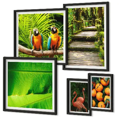 Parede galeria de quadros motivos de frutas tropicais da natureza