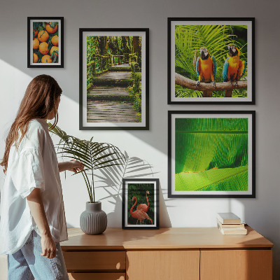 Parede galeria de quadros motivos de frutas da natureza tropical