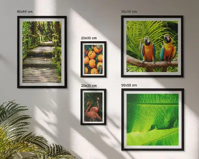 Parede galeria de quadros motivos de frutas tropicais da natureza