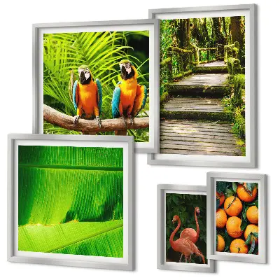 Parede galeria de quadros motivos de frutas tropicais da natureza