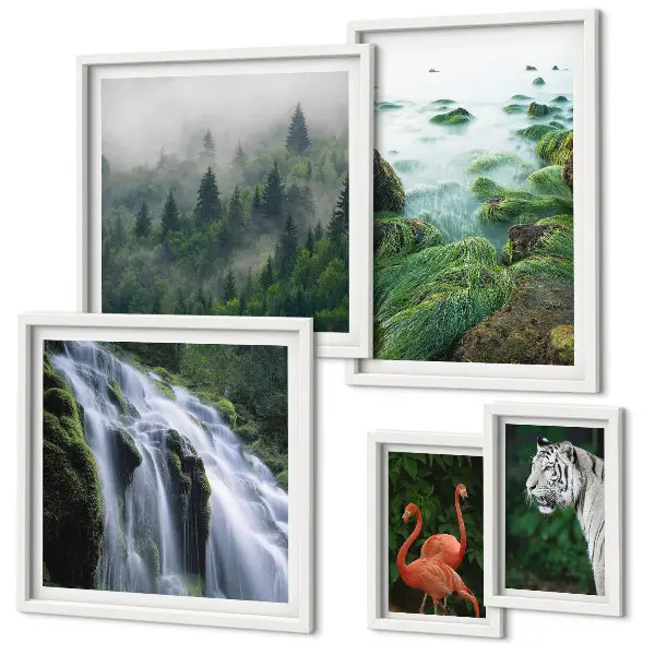 Conjunto de 5 quadros com moldura com estampas de natureza e animais selvagens