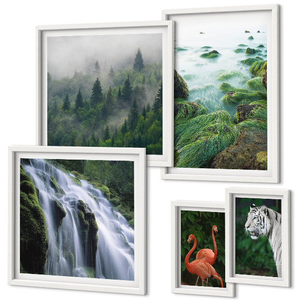 Conjunto de 5 quadros com moldura Natureza animais selvagens paisagens