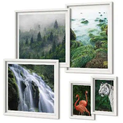 Conjunto de 5 quadros com moldura com estampas de natureza e animais selvagens