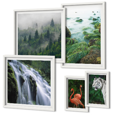 Conjunto de 5 quadros com moldura Natureza animais selvagens paisagens