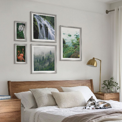 Conjunto de 5 quadros com moldura Natureza animais selvagens paisagens