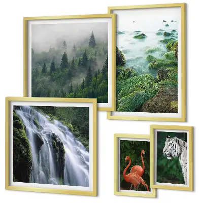 Conjunto de 5 quadros com moldura com estampas de natureza e animais selvagens