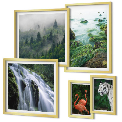 Conjunto de 5 quadros com moldura Natureza animais selvagens paisagens