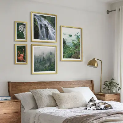 Conjunto de 5 quadros com moldura com estampas de natureza e animais selvagens