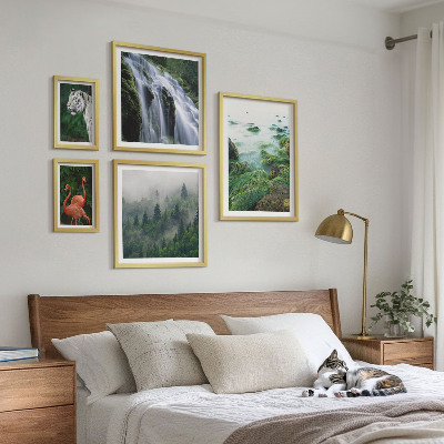 Conjunto de 5 quadros com moldura Natureza animais selvagens paisagens