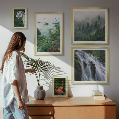 Conjunto de 5 quadros com moldura Natureza animais selvagens paisagens