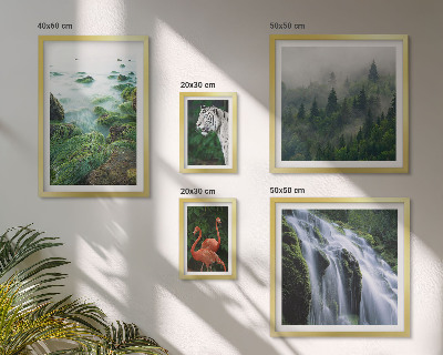 Conjunto de 5 quadros com moldura Natureza animais selvagens paisagens