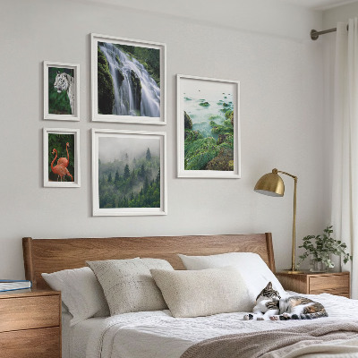 Conjunto de 5 quadros com moldura Natureza animais selvagens paisagens