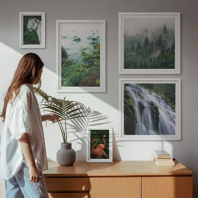 Conjunto de 5 quadros com moldura Natureza animais selvagens paisagens